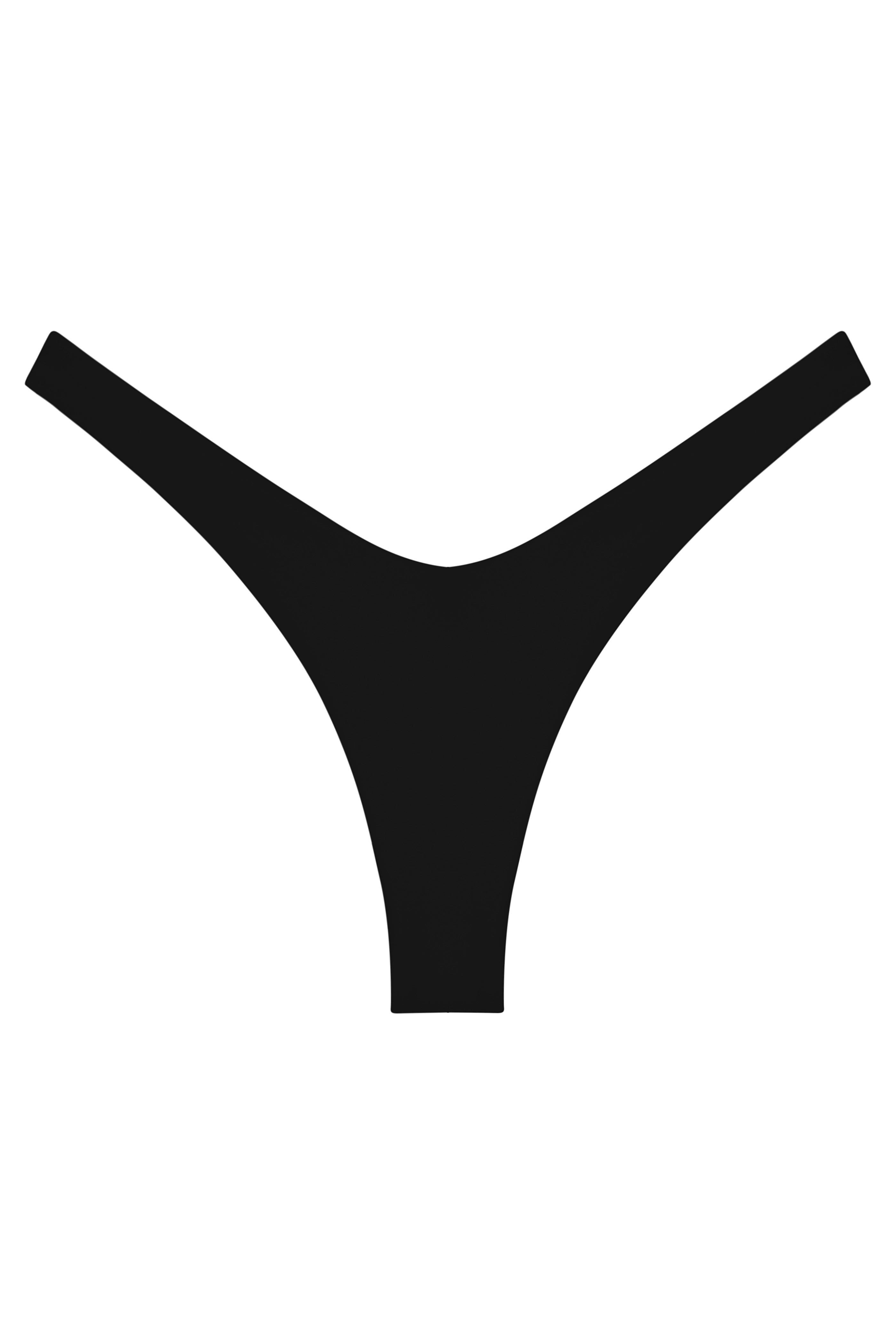 Ludisia Bikini Bottom