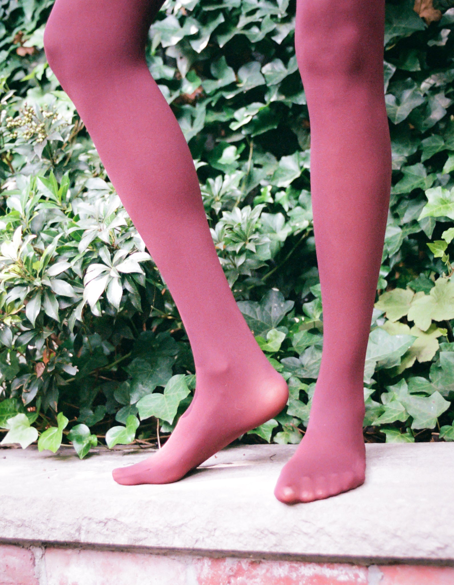 Semi Tights ⦁ Bordeaux