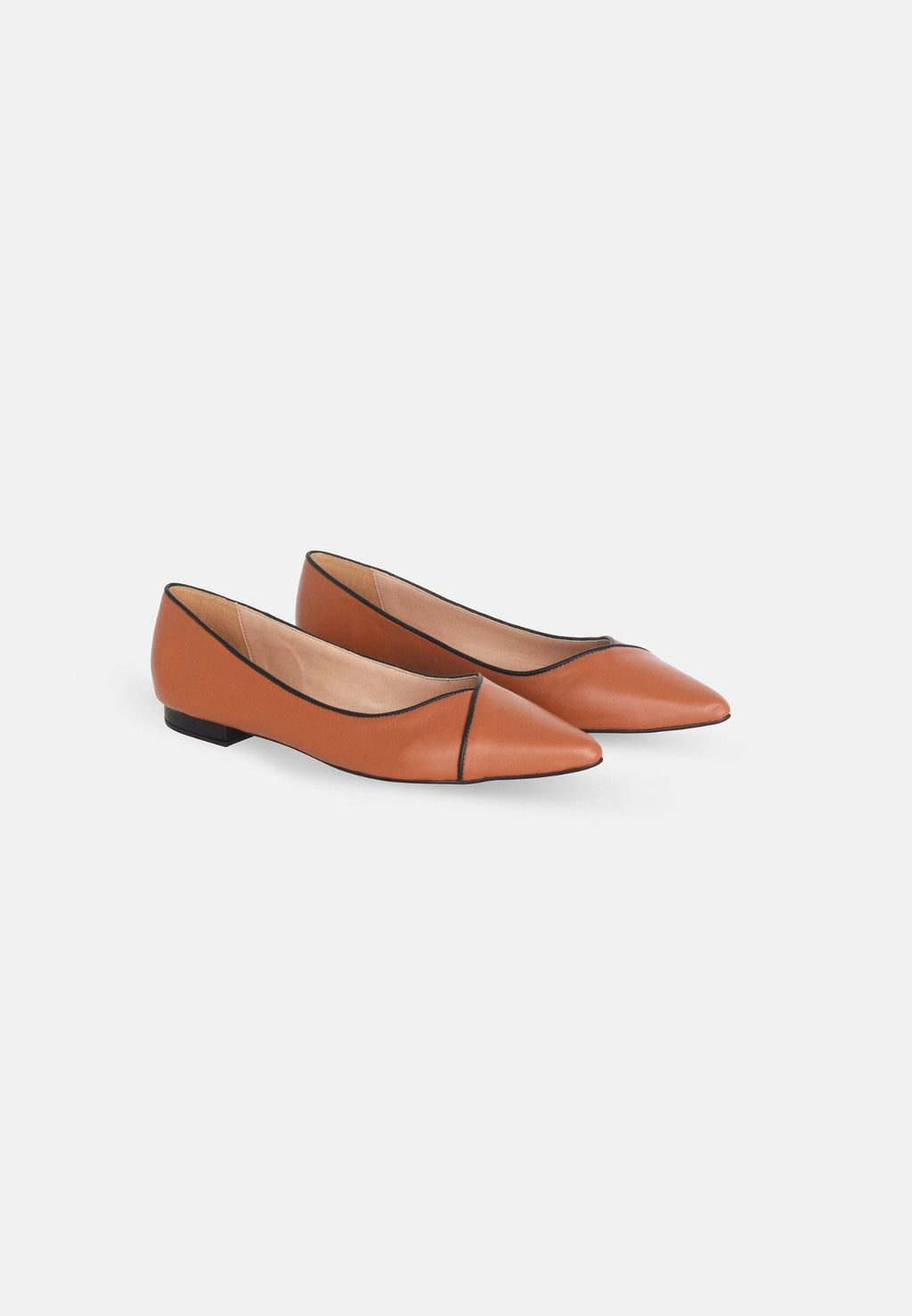 Ariri Leather Ballerinas