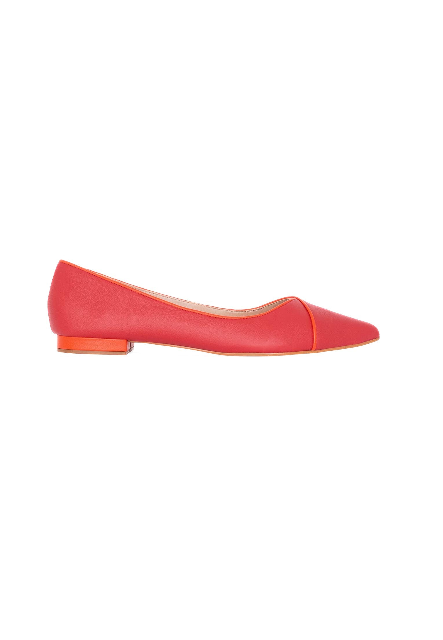 Ariri Leather Ballerinas
