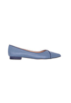 Ariri Leather Ballerinas