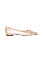 Ariri Leather Ballerinas