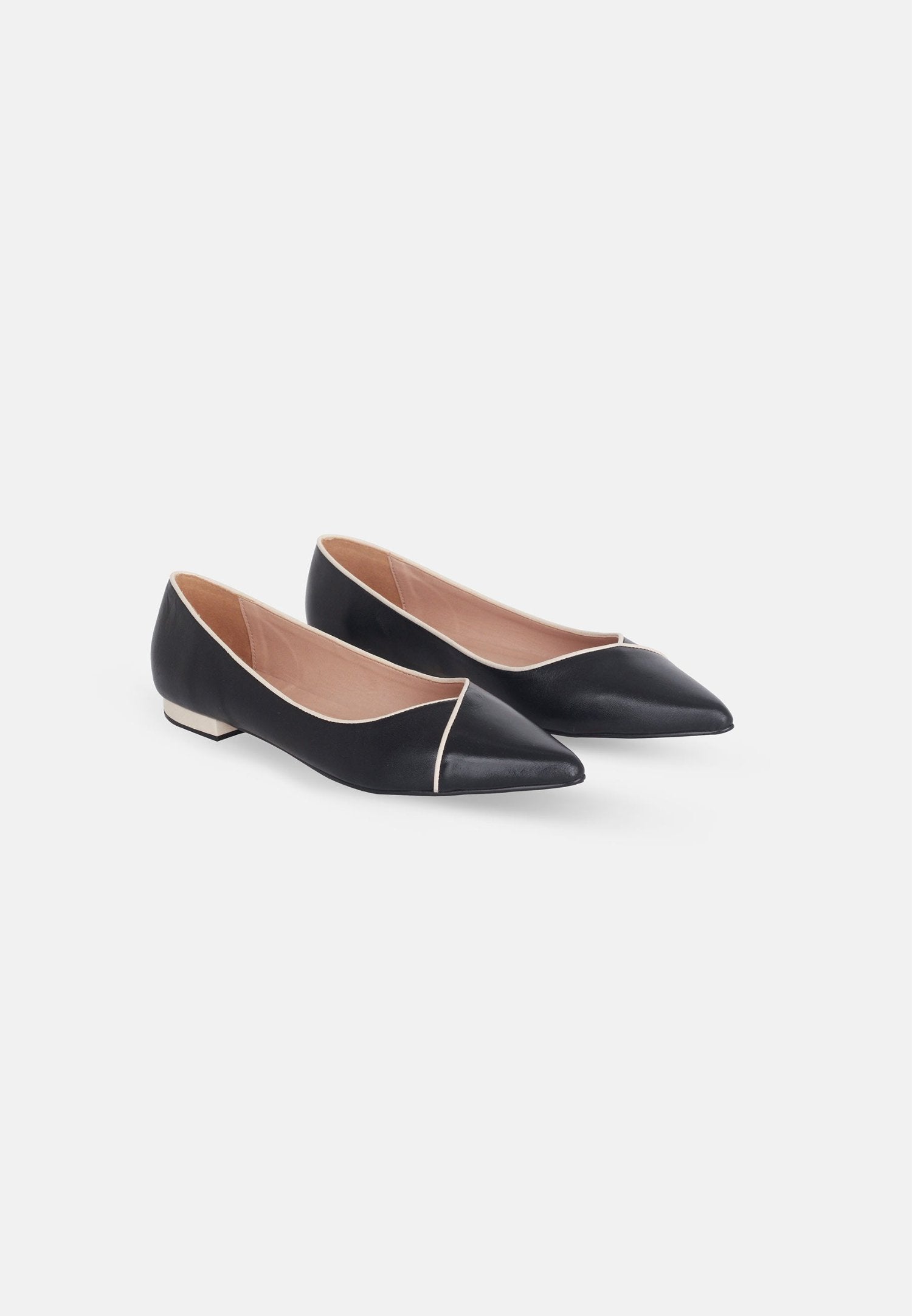 Ariri Leather Ballerinas