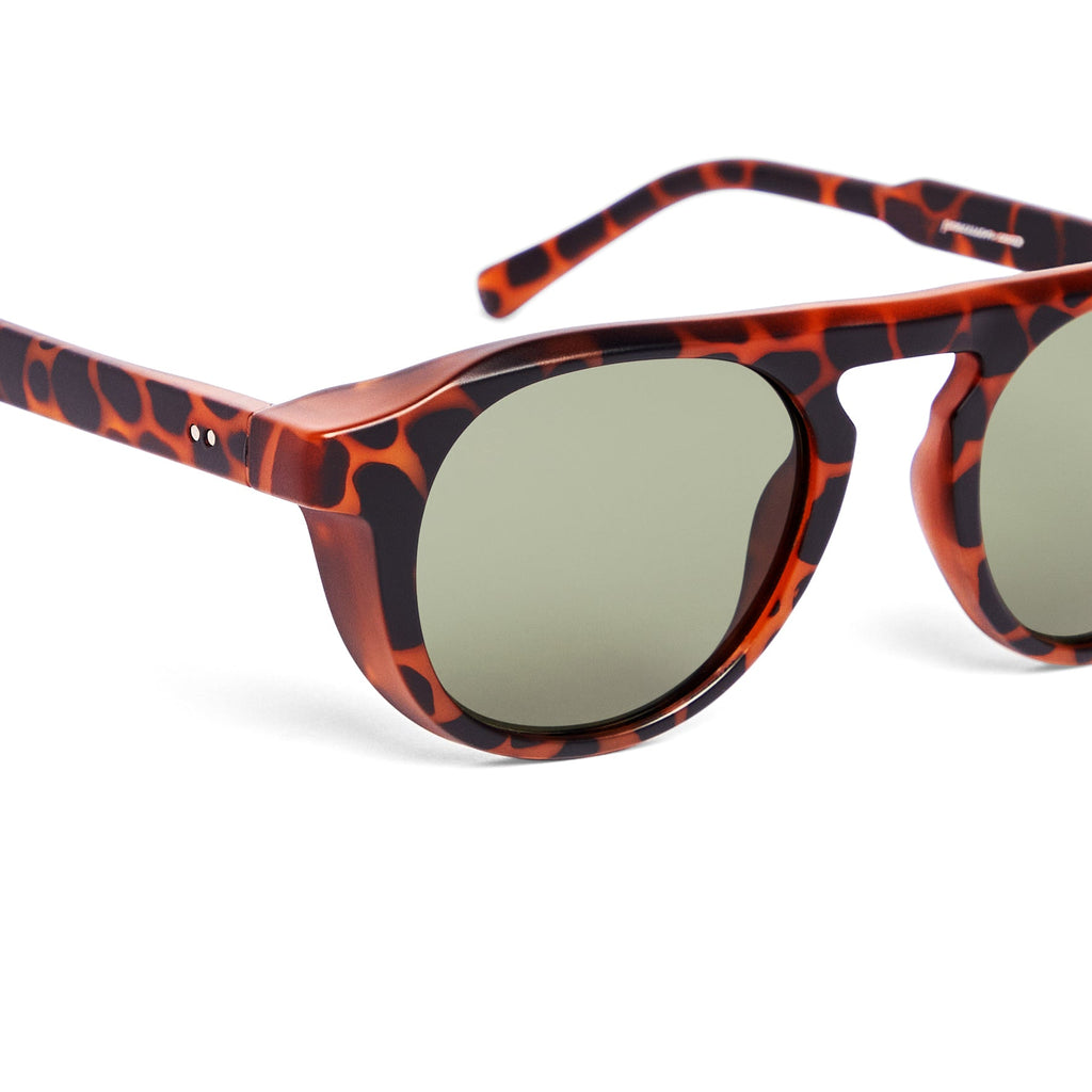 Champlain Sunglasses
