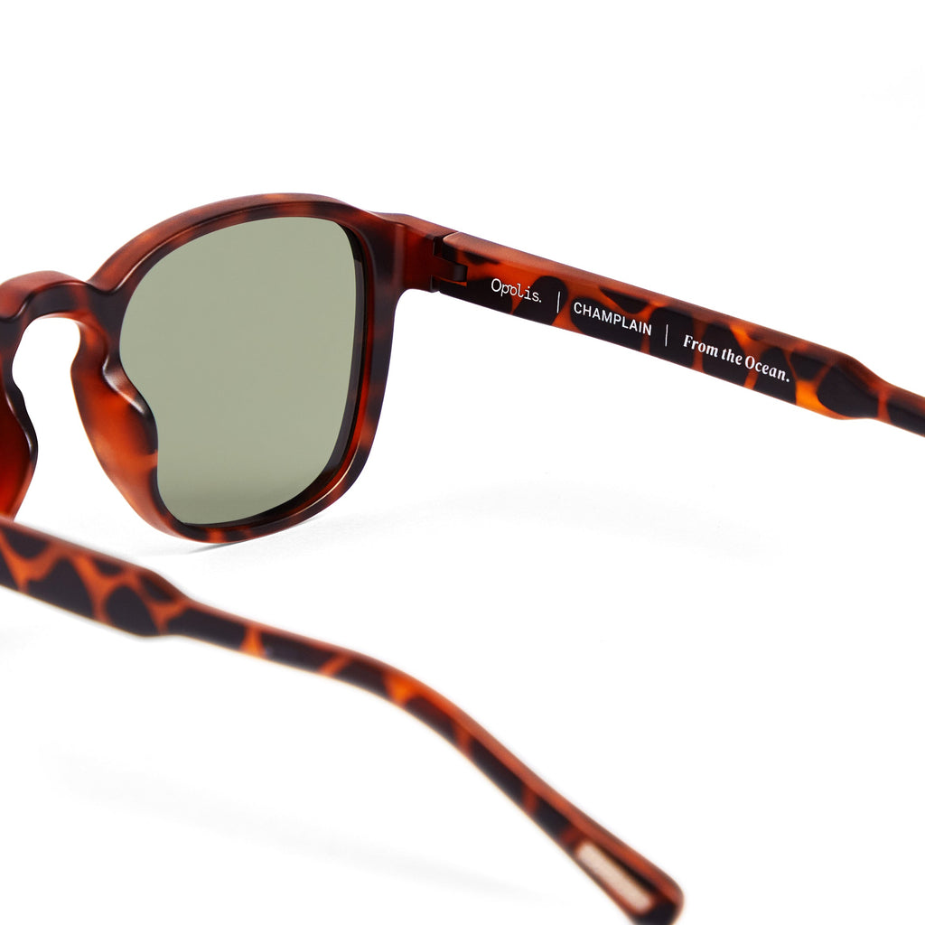 Briny Sunglasses