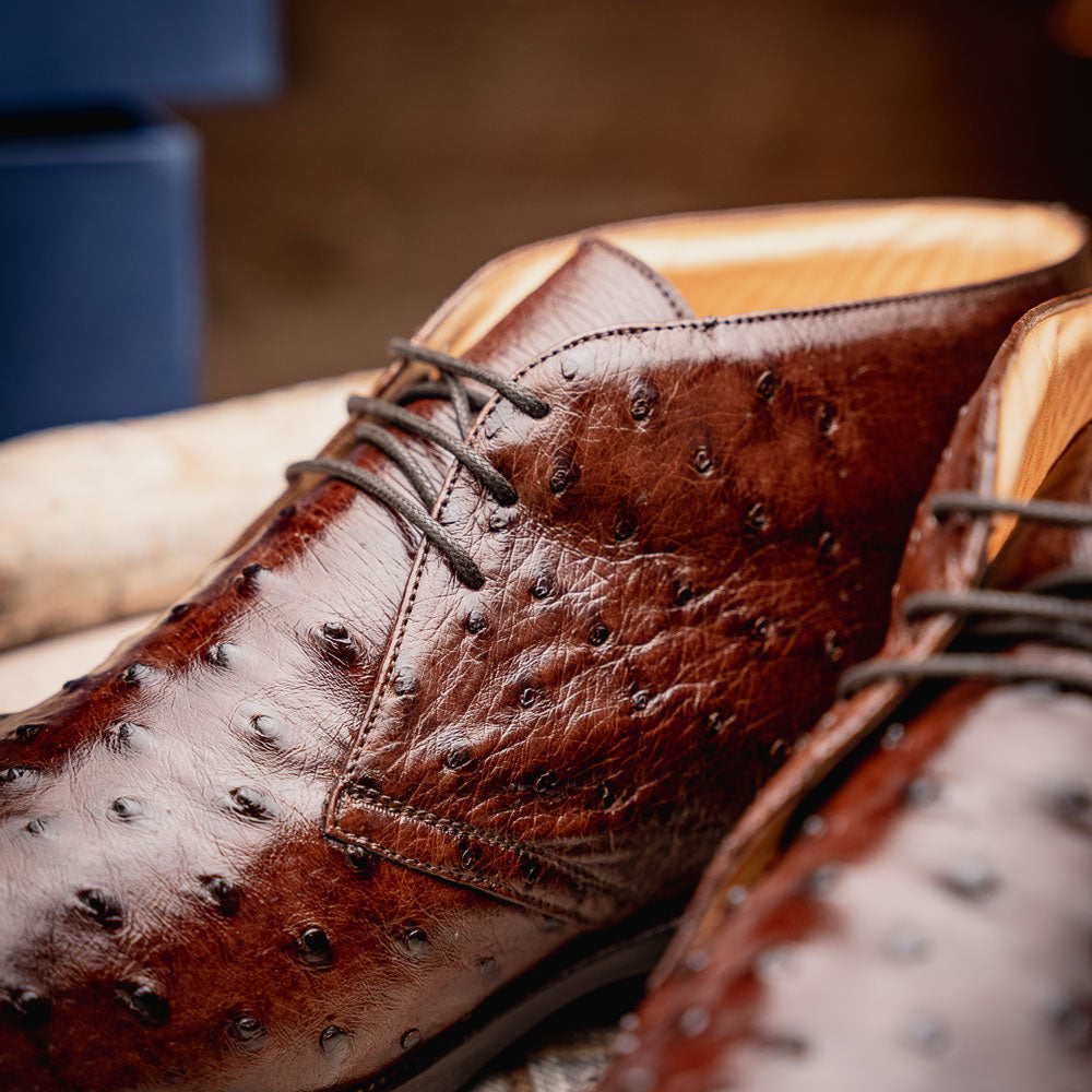 Marco Ostrich Quill Chukka Boot | Brown
