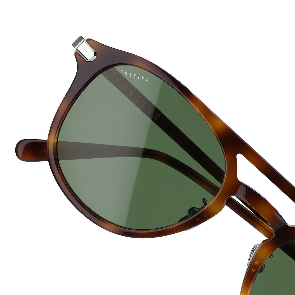 Coast Sunglasses