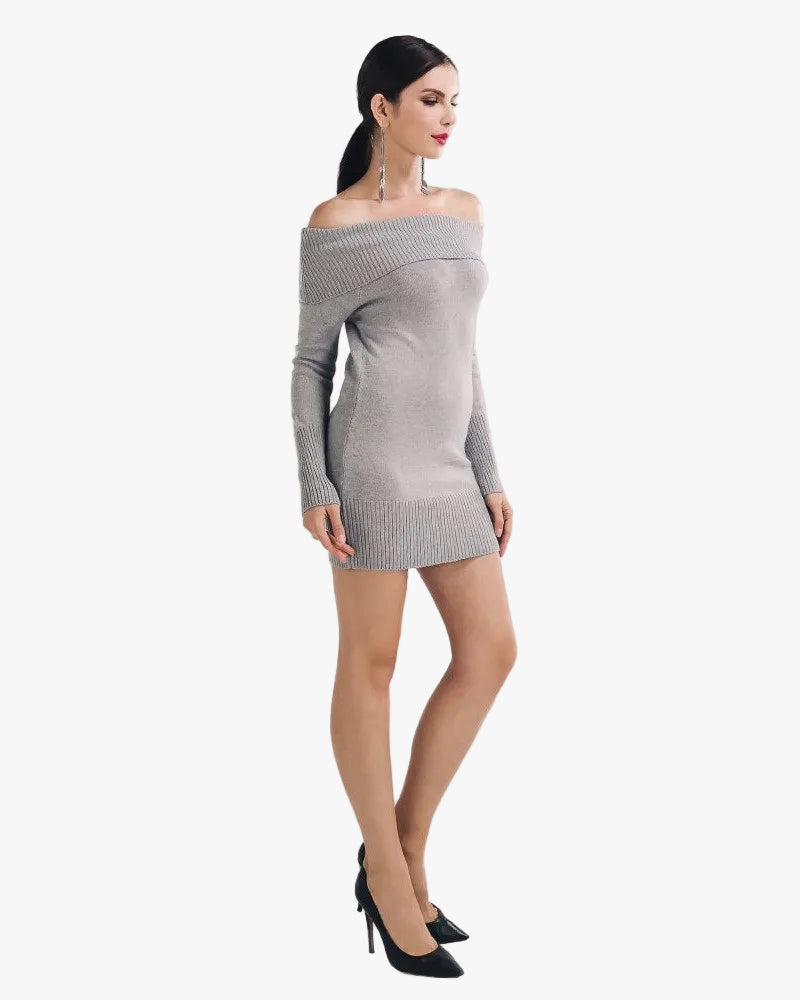 Evelyn Belluci Grey Sweater Dress