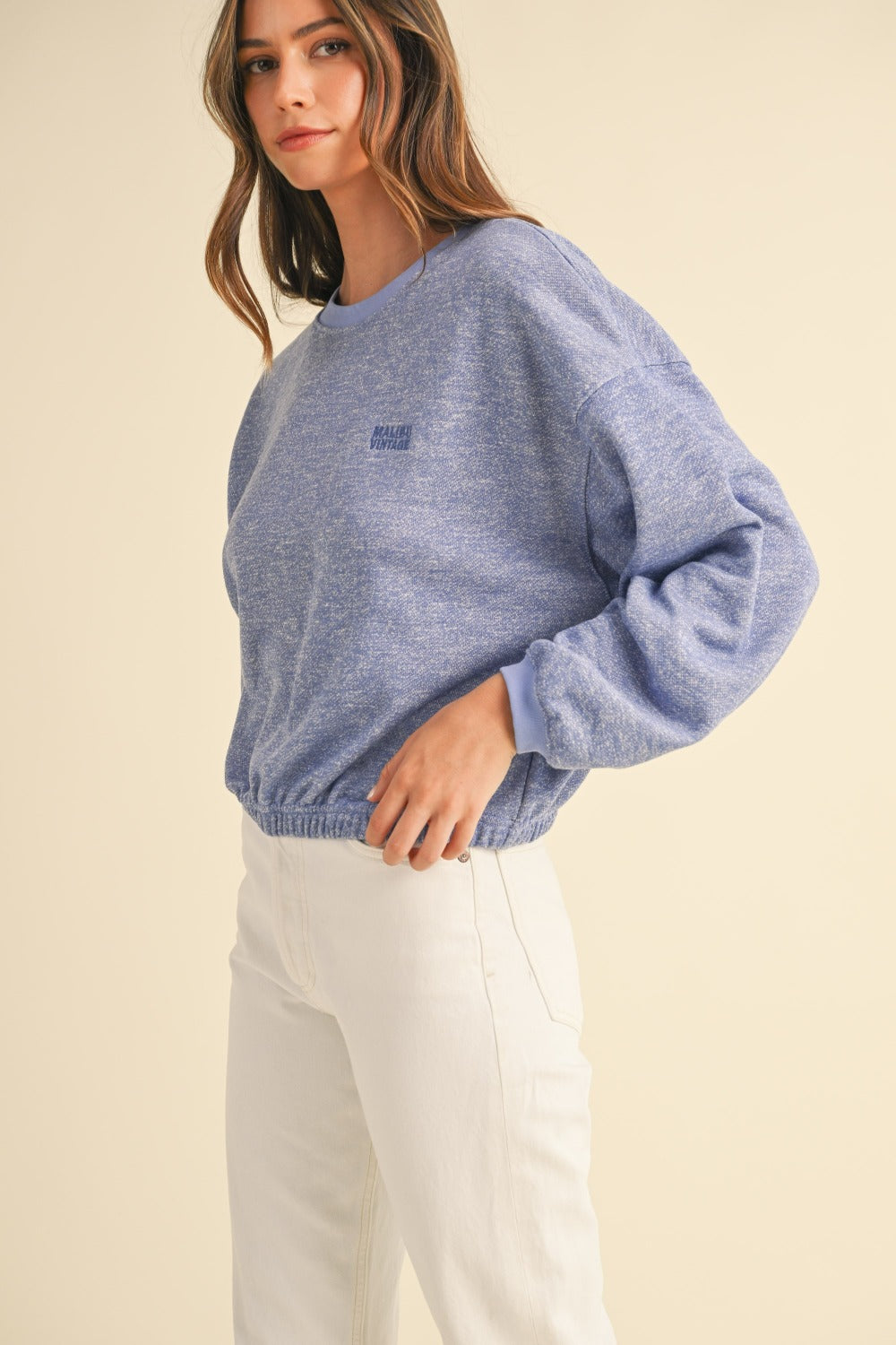 Letter Embroidery Crop Sweatshirt Violet