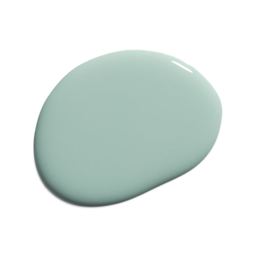 All The Sage Nail Lacquer