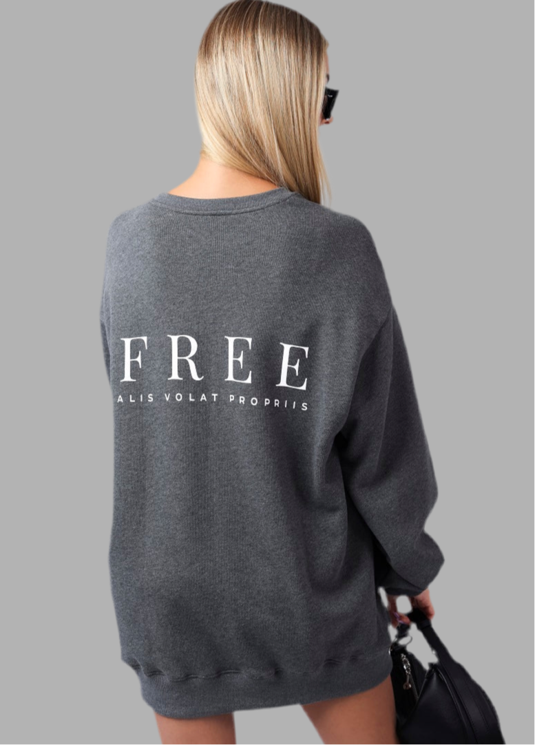 WO|MN Logo 100% Cotton Jersey Oversized Sweatshirt Dress | Dark Grey