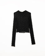 Black Cropped Lace T-Shirt with Long Sleeves