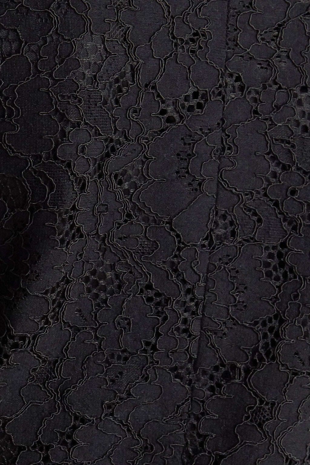 Shadow Glam Woven Lace Blazer | Black