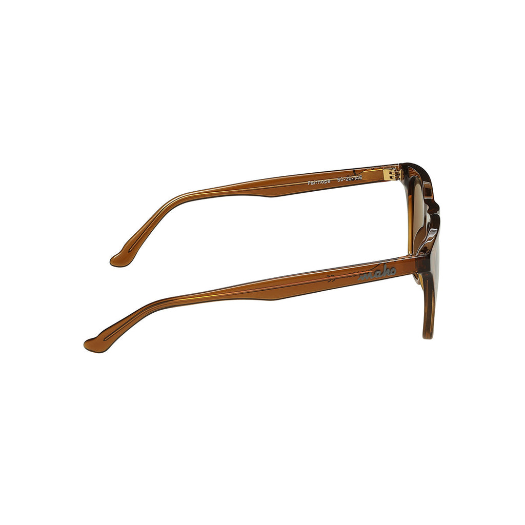Fairhope Rootbeer Sunglasses