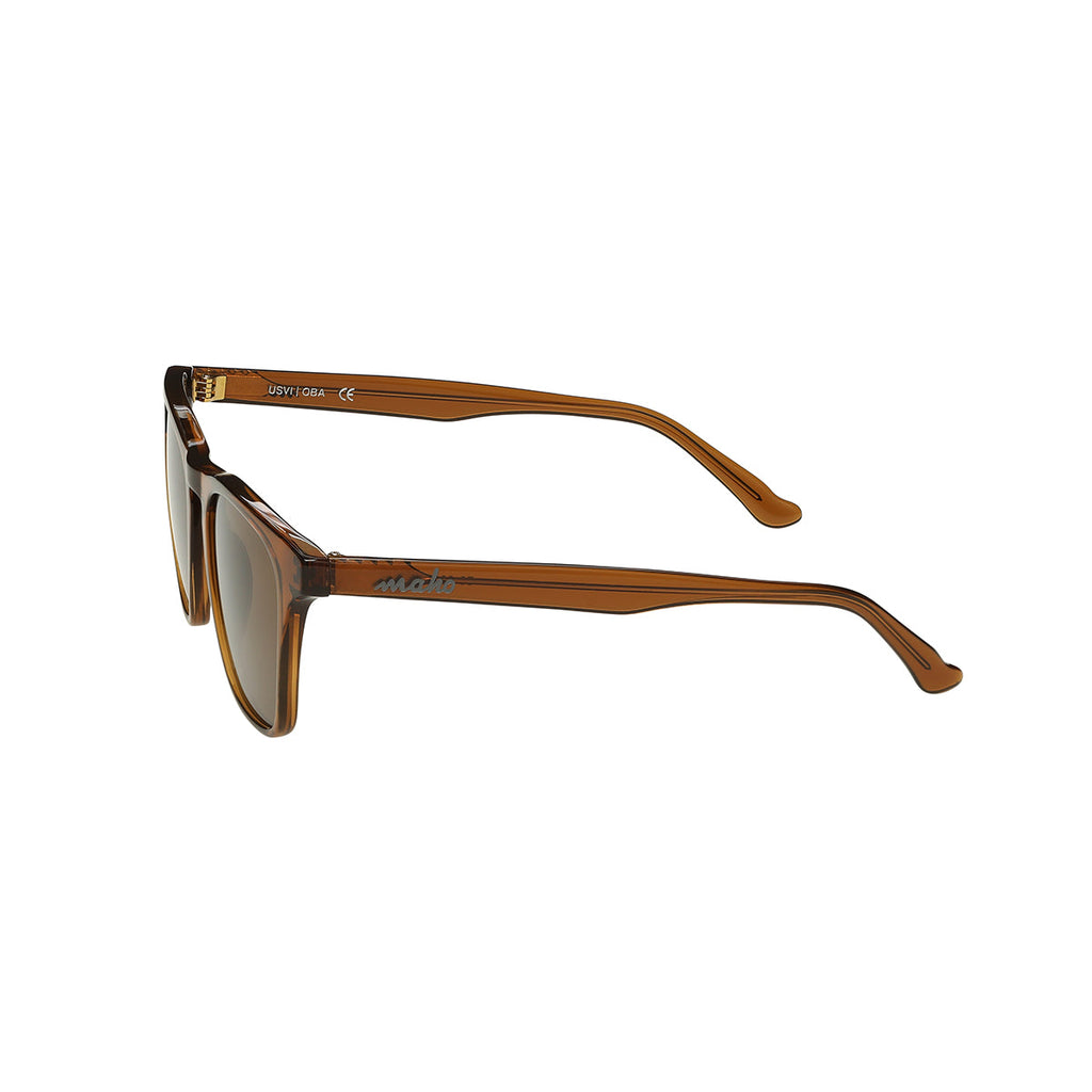 Fairhope Rootbeer Sunglasses