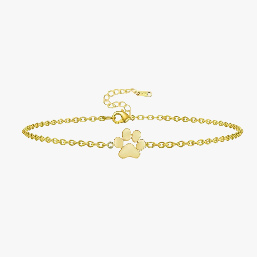 Fureverly Single Paw Print Link Chain Bracelet