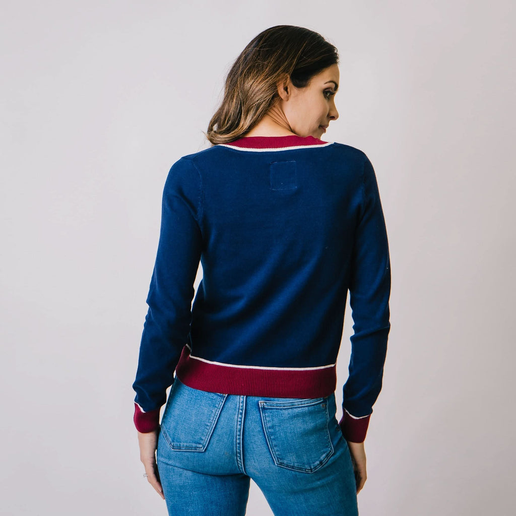 V-Neck Sweater | Navy & Berry