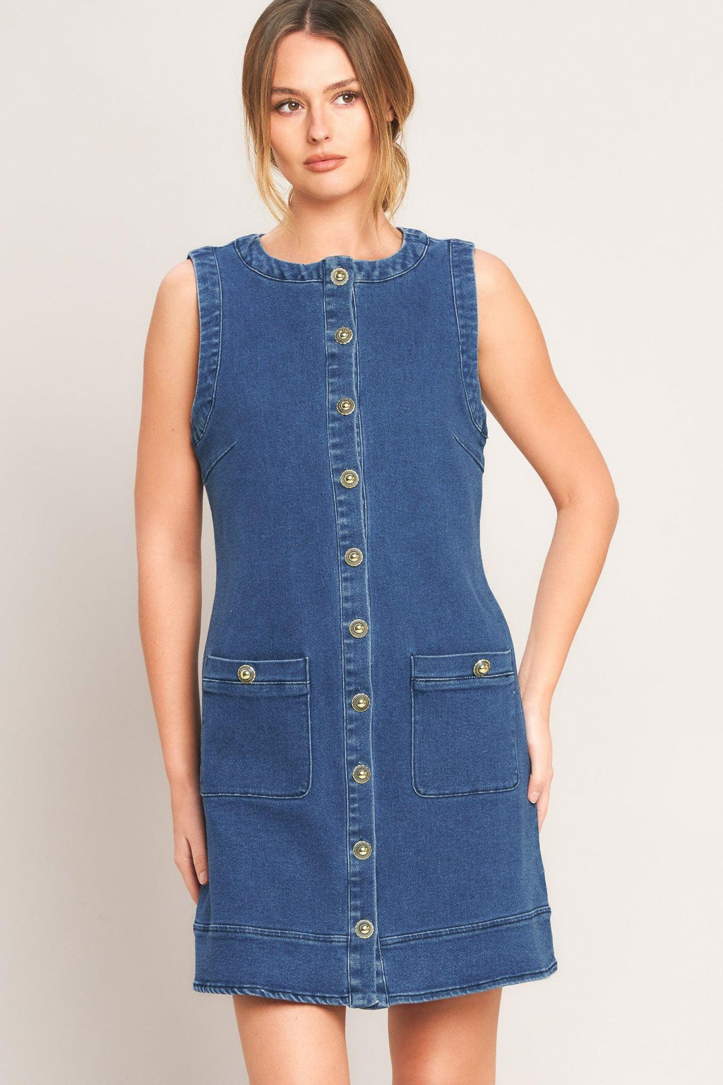 Everyday Icon Denim Shirt Dress