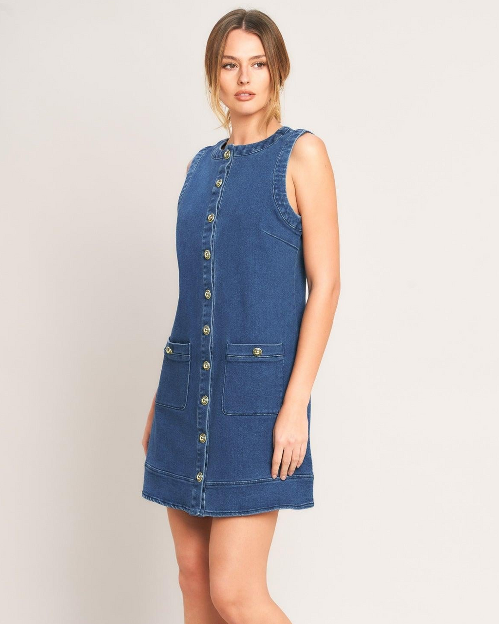 Everyday Icon Denim Shirt Dress