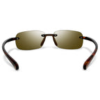 Circe Sunglasses by BEXST