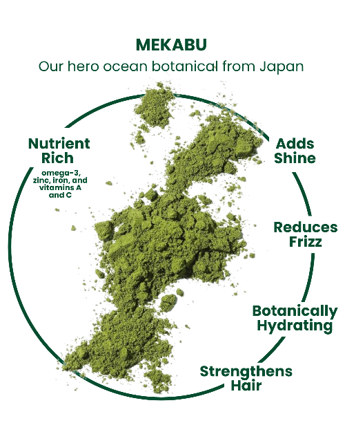 Pro-Ocean Refillable Shampoo Bottle | 32 oz