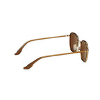 Kennebunkport Rootbeer Sunglasses