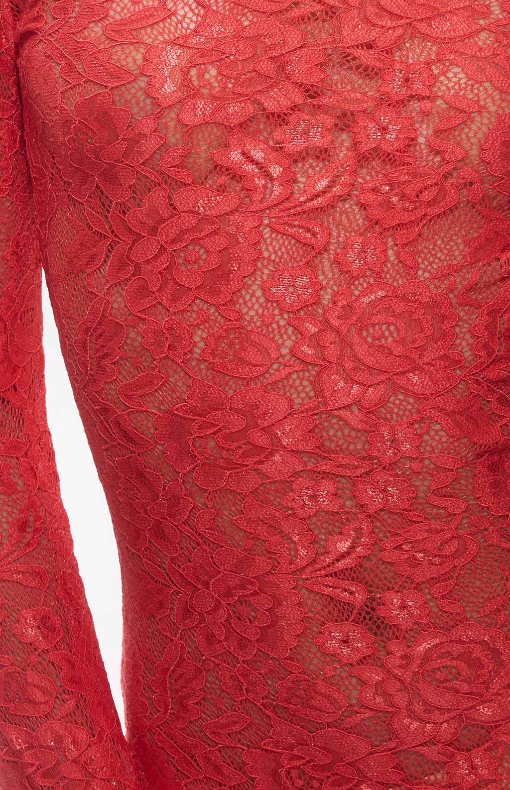 Passi Guipure Floral Lace Maxi Dress