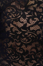 Sekna V-Cut Floral Lace Maxi Dress Black