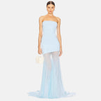 Strapless Bodycon Mesh Fitted Dress