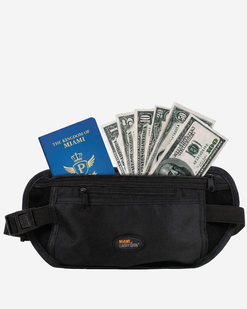 Hidden Money & Passport Belt