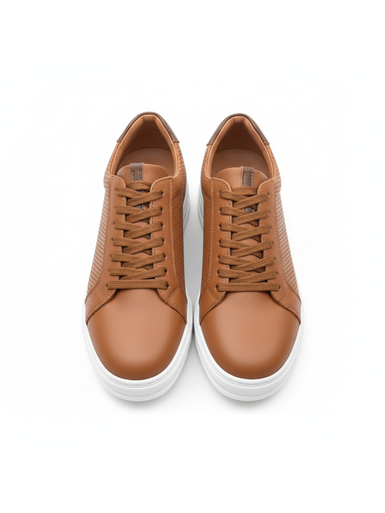 Men's Arion Terra Sneakers