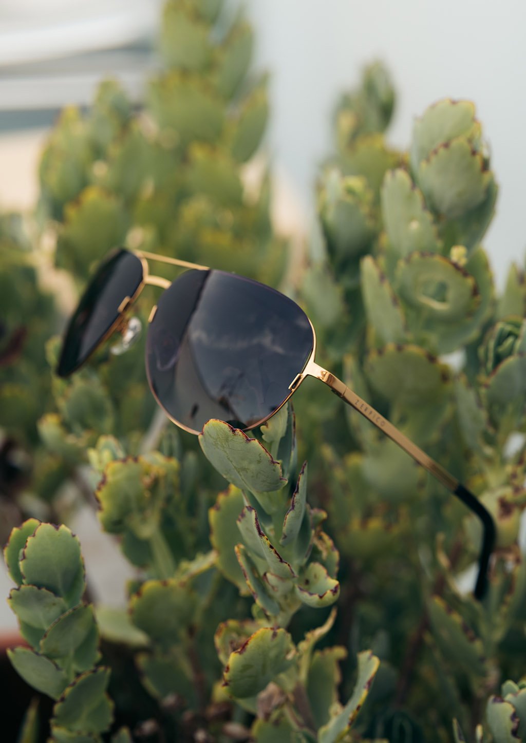 Titanium Aviators V2 Sunglasses | Changeable Lenses
