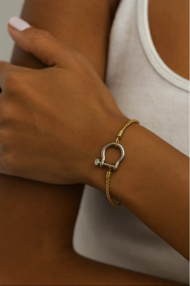 The Lucky Lock Horseshoe Carabiner Clasp Bracelet