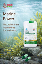 Wellness Kelp Chitosan Chito-Oligosaccharide Capsules
