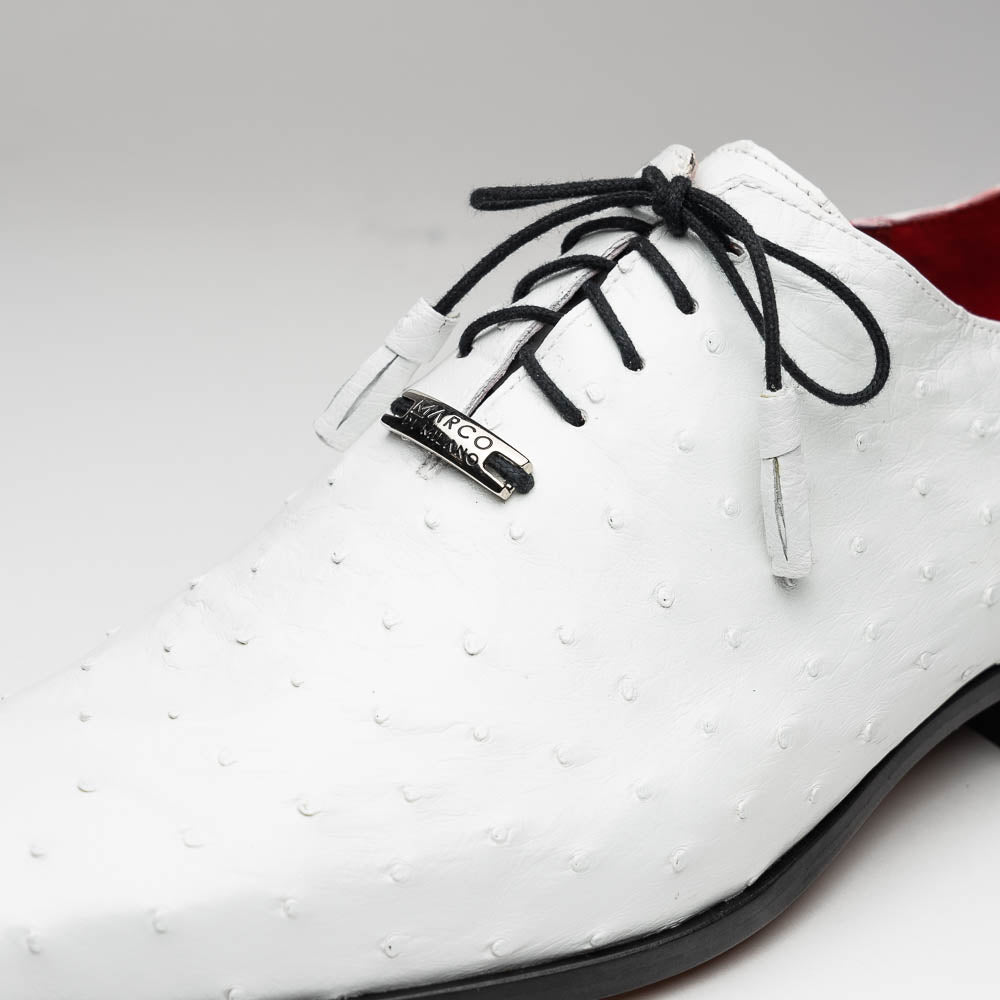 Criss Laced Shoe | White