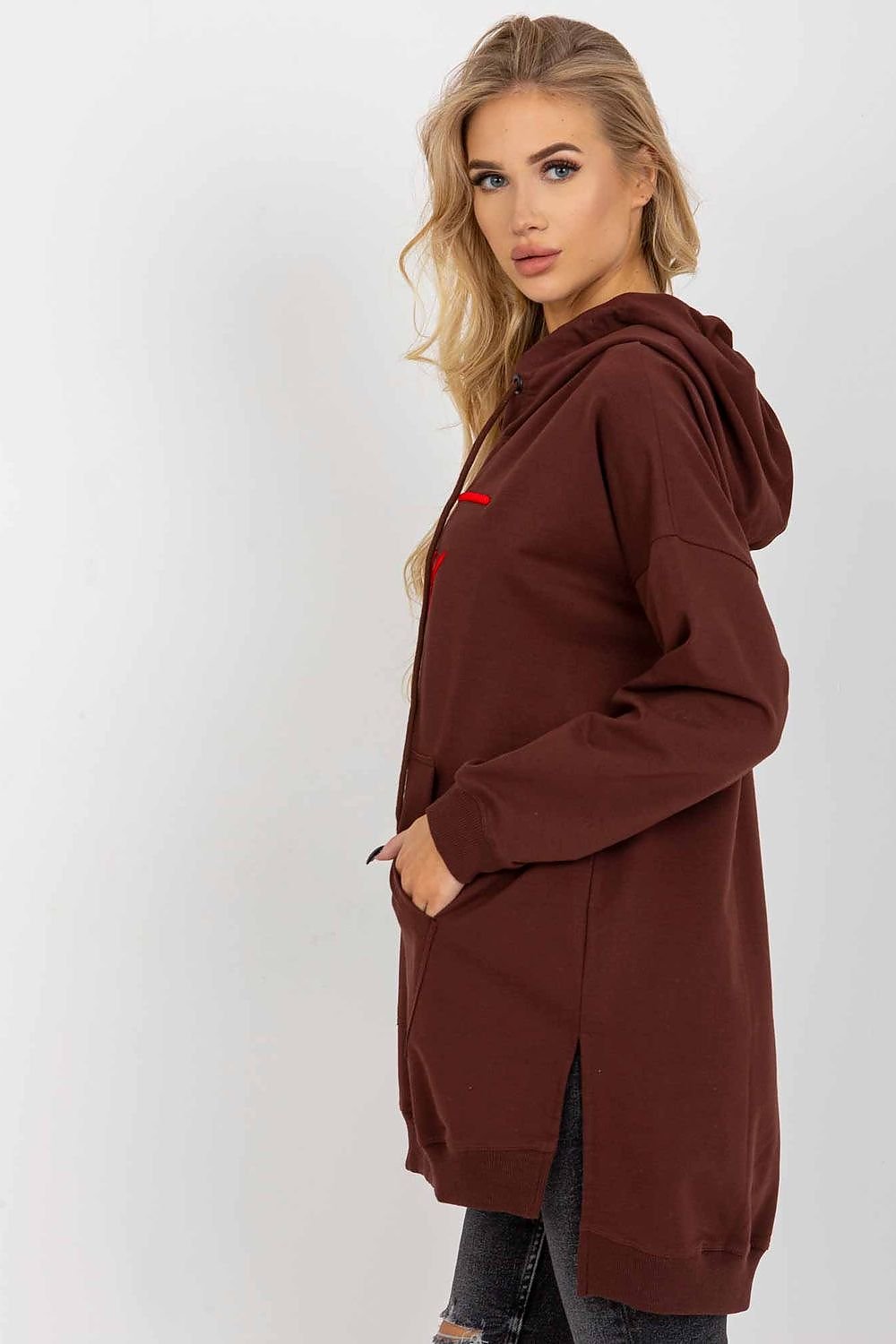 Long Hoodie Dress