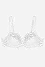  Soft model 229104 Triumph 