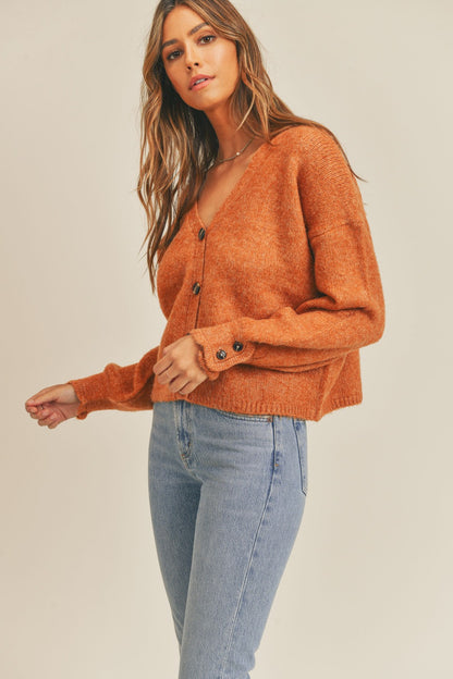 Button Down Sweater Cardigan Rust Brown