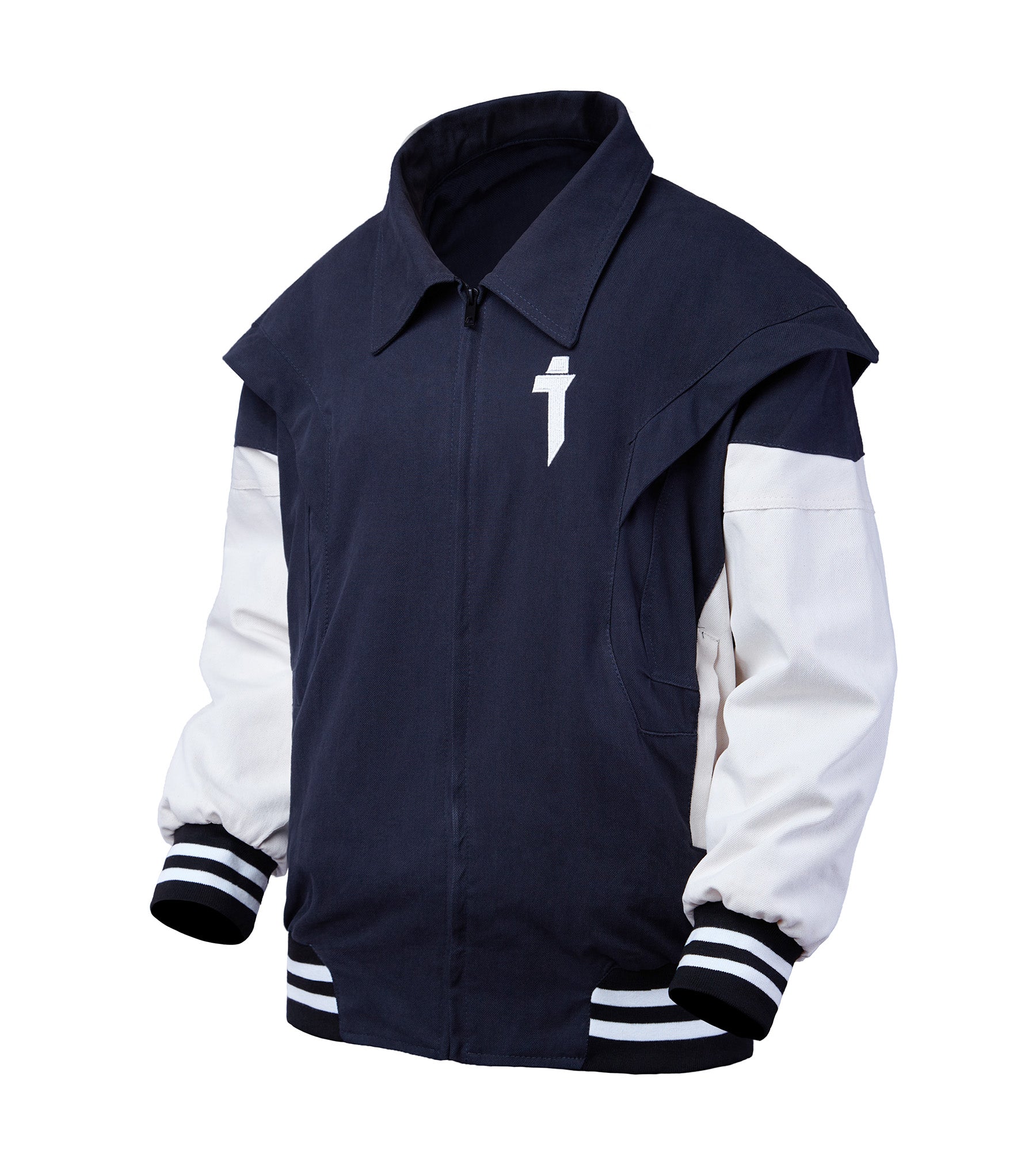 Resting Dragon Embroidery Jacket | YEJ5