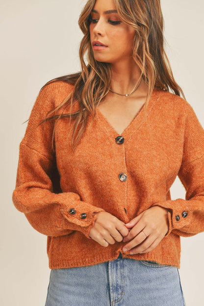 Button Down Sweater Cardigan Rust Brown