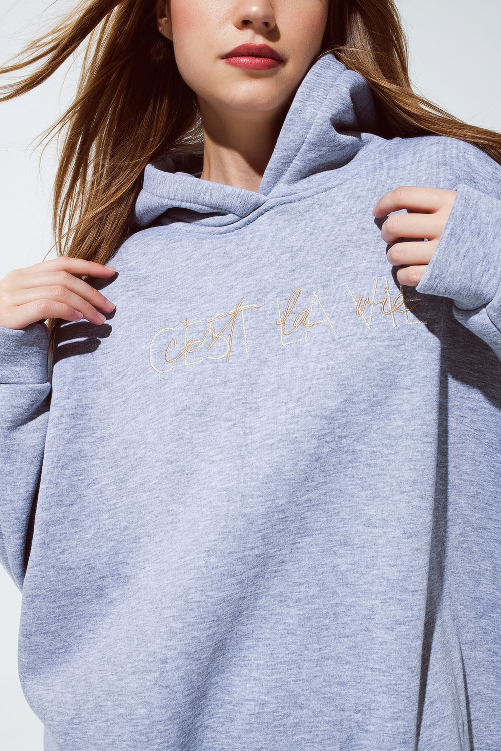 Grey Color Hoodie With Embroidered with Cést La Vie Text