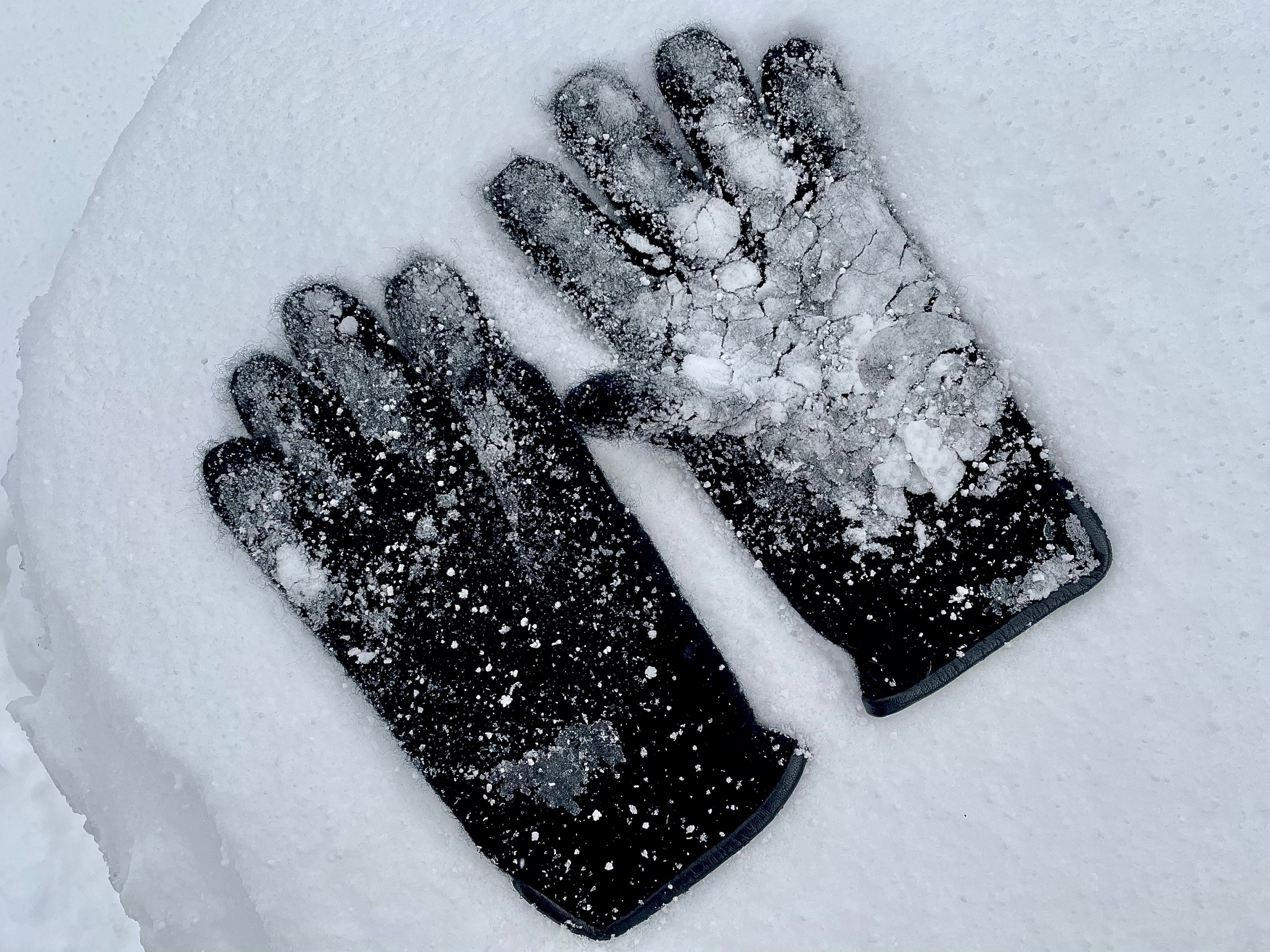 Tittimitti® 100% Virgin Wool Unisex Gloves with Genuine Leather Trim. OEKO-TEX Standard 100