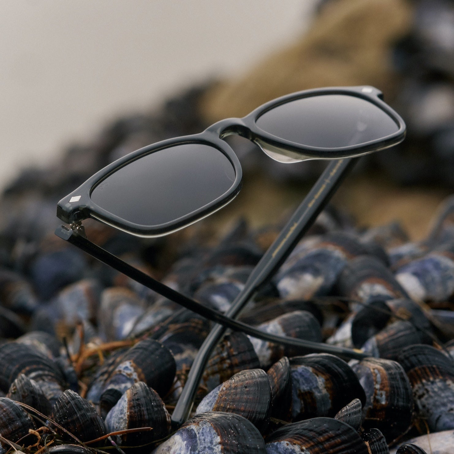 Largo Sunglasses