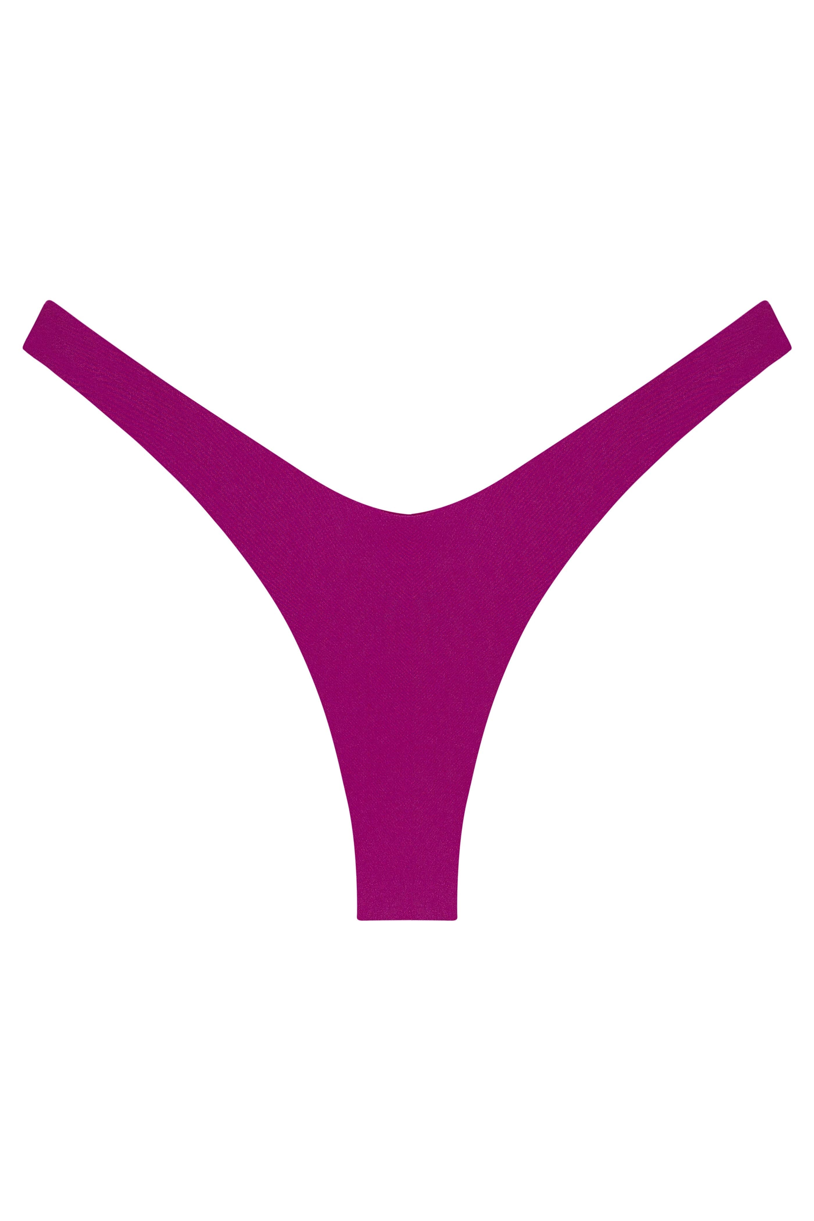 Ludisia Bikini Bottom