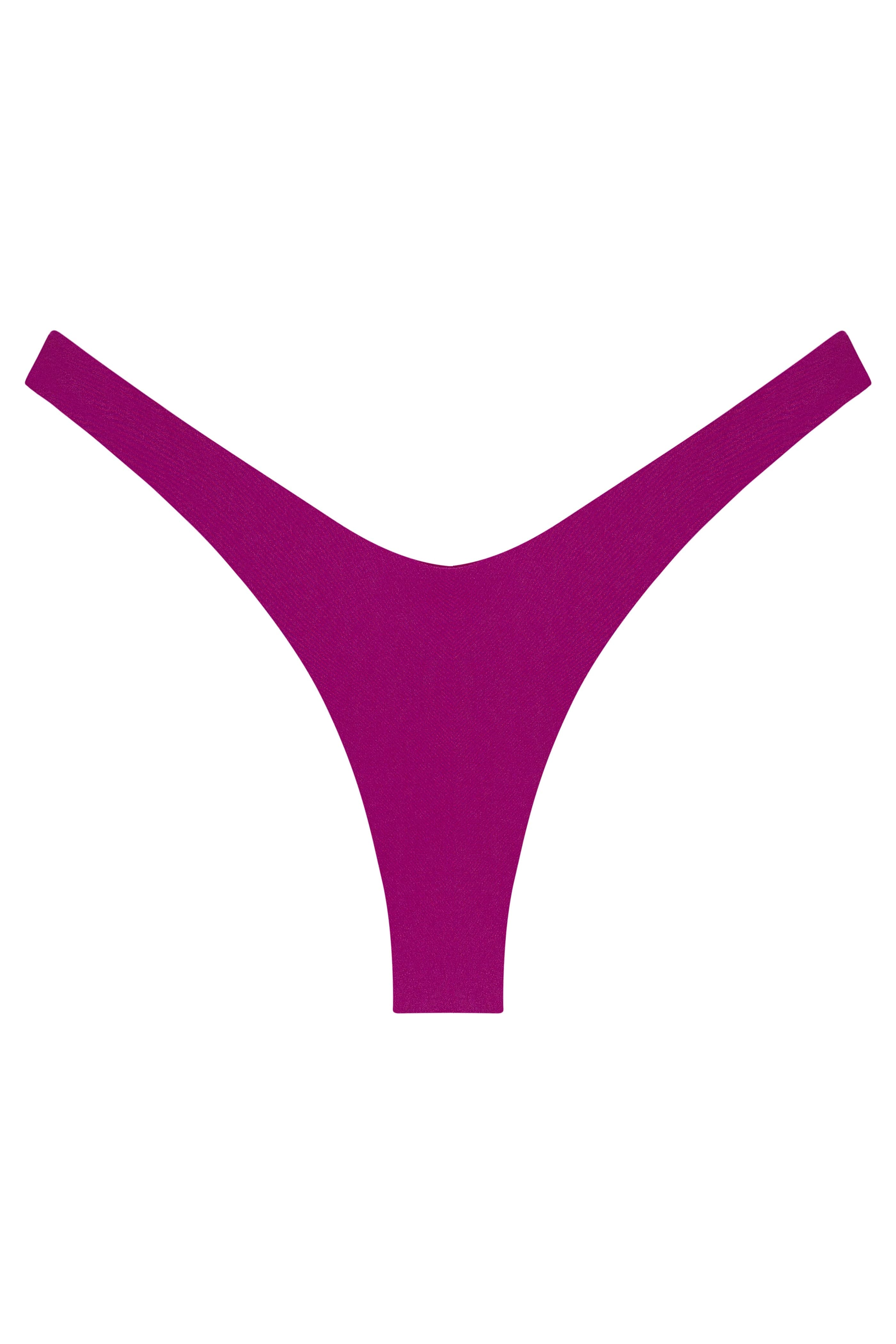 Ludisia Bikini Bottom