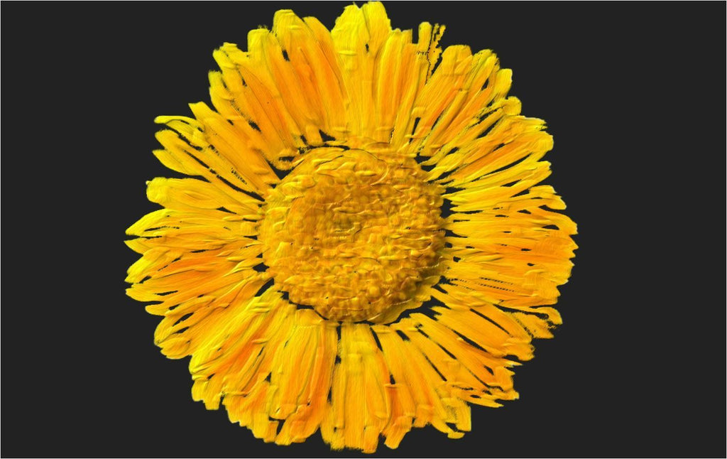 Certified Organic Rejuvenating Night Cream Calendula Hydrate Anti-Aging Repair | Calendula Flower