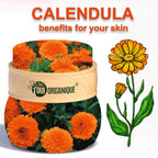 Certified Organic Rejuvenating Night Cream Calendula Hydrate Anti-Aging Repair | Calendula Flower