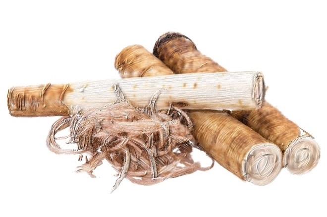 Certified Organic Rejuvenating Day Cream Burdock Root | Detoxify + Brighten