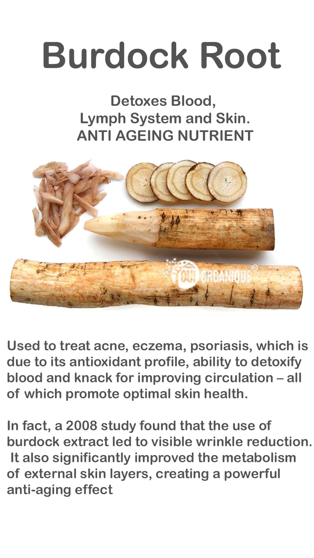 Certified Organic Rejuvenating Day Cream Burdock Root | Detoxify + Brighten