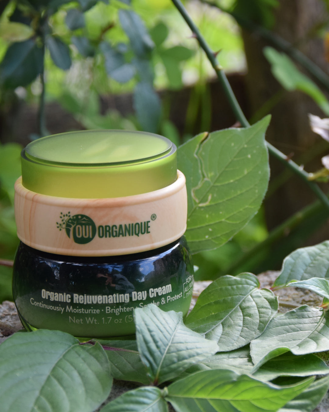 Certified Organic Rejuvenating Day Cream Burdock Root | Detoxify + Brighten